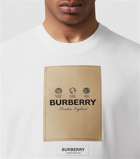 burberry replica shirts india|authentic Burberry labels.